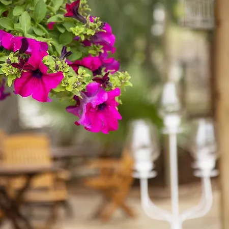 Parque de vacaciones Orhaniye Incir Bungalow, Beach & Restaurant