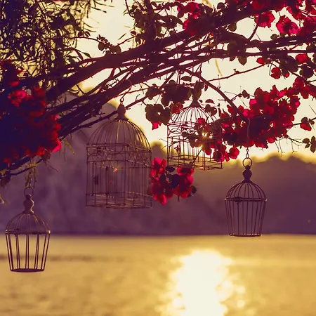 Orhaniye Incir Bungalow, Beach & Restaurant * Orhaniye (Marmaris)