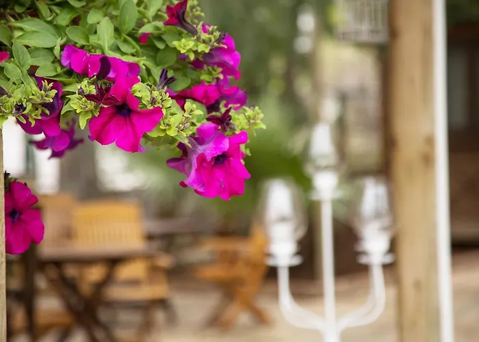 Prázdninový areál Orhaniye Incir Bungalow, Beach & Restaurant