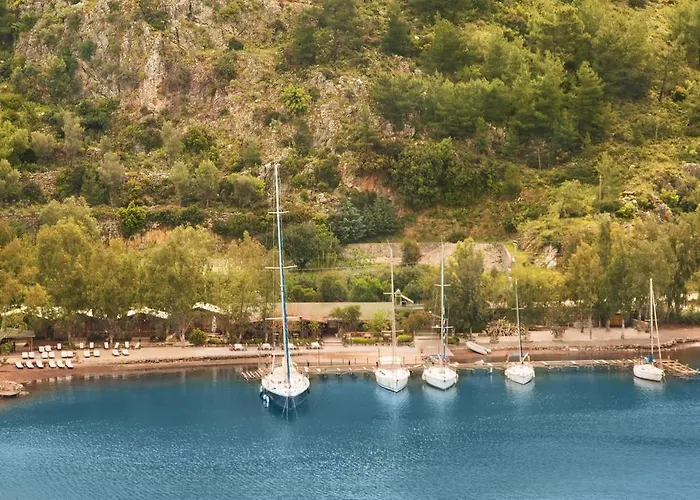 Orhaniye Incir Bungalow, Beach & Restaurant База отдыха