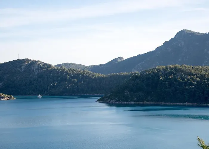 Orhaniye Incir Bungalow, Beach & Restaurant База отдыха