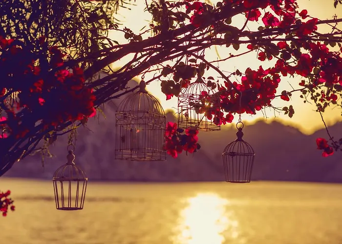 Orhaniye Incir Bungalow, Beach & Restaurant * Орхание